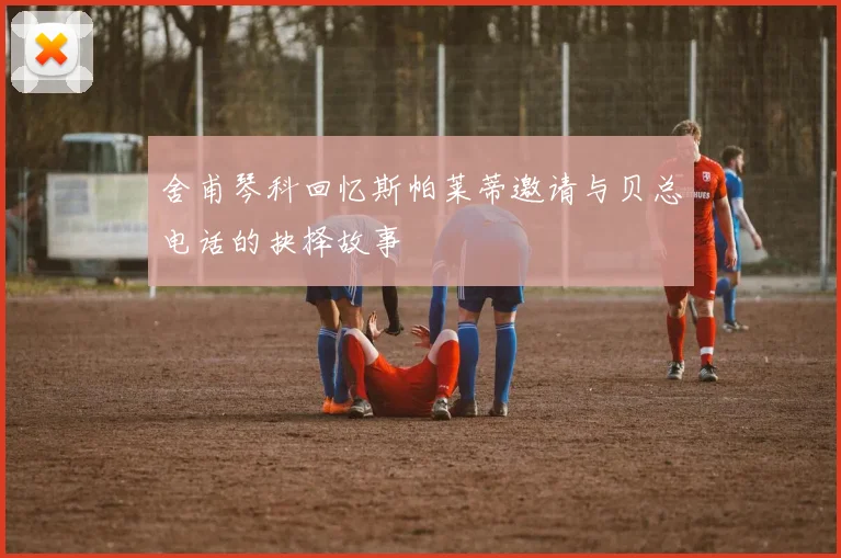 舍甫琴科回忆斯帕莱蒂邀请与贝总电话的抉择故事